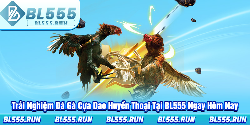 Trải Nghiệm Đá Gà Cựa Dao Huyền Thoại Tại BL555 Ngay Hôm Nay